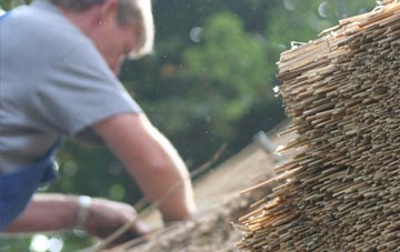 professional Lepe thatchers